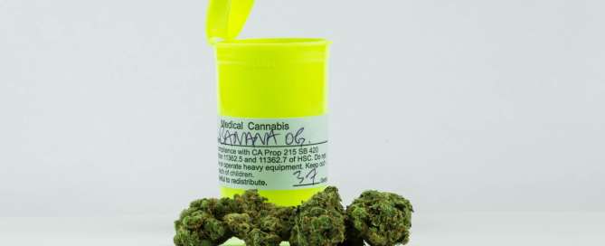 Medical cannibis buds
